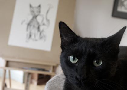 A close up of a black cat with a drawing of the cat in the background. 